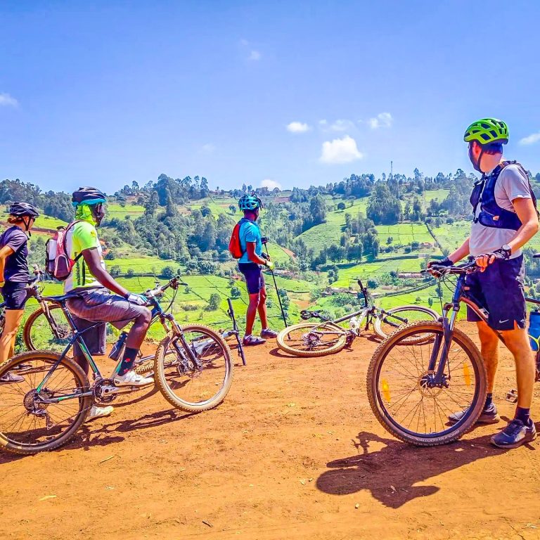Aberdare Cottages and Fishing Lodge in the Aberdare highlands, Kenya