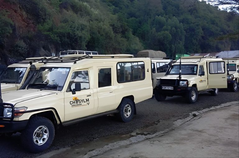 Safari experience in Kenya with Chasylm Tours & Safaris